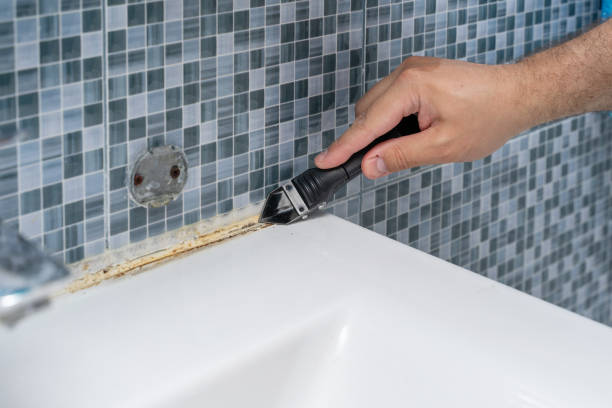 Professional Mold Removal in Eagle Point, AL